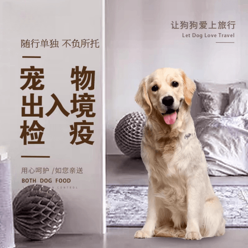 楚雄州宠物托运到哥伦比亚猫狗宠物入境规定和