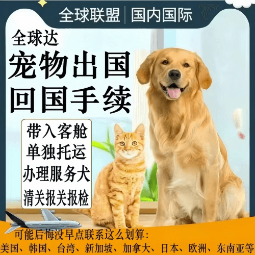 楚雄州宠物托运到柬埔寨宠物入境规定和要求