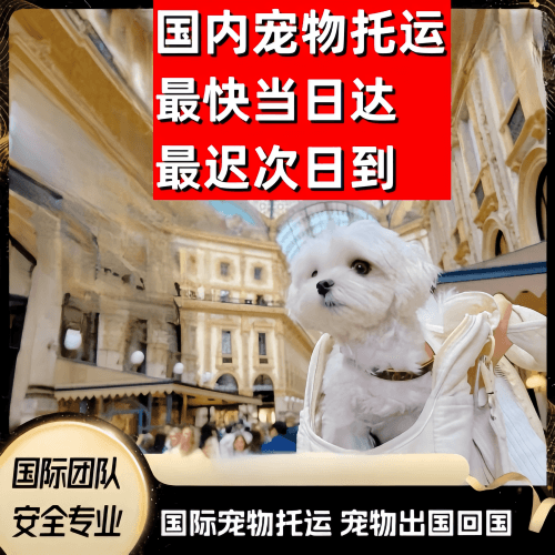 楚雄州到澳大利亚（澳洲）宠物入境规定和要求