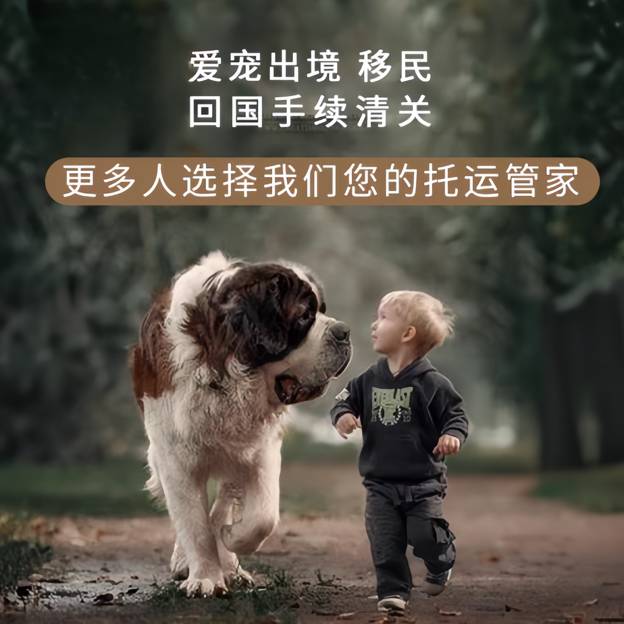 满财楚雄州宠物全球达宠物托运在遵守入境目的地政策的条件