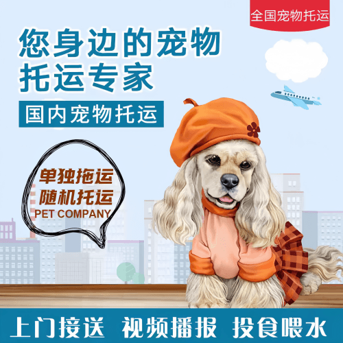 满财楚雄州宠物全球达宠物托运作为专业的宠物运输代理机构